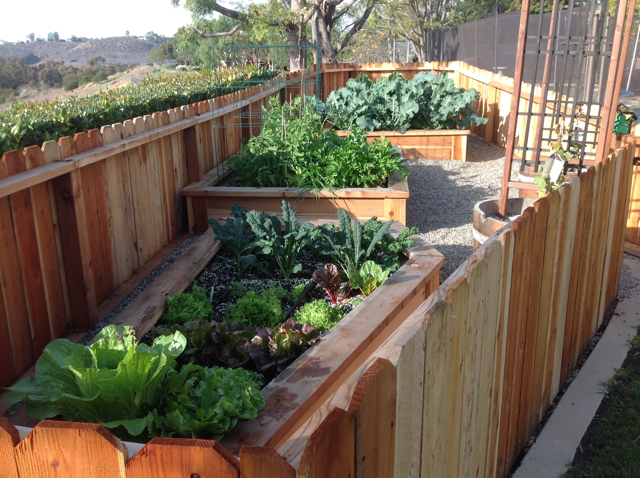 raised bed gardens | harvest to home