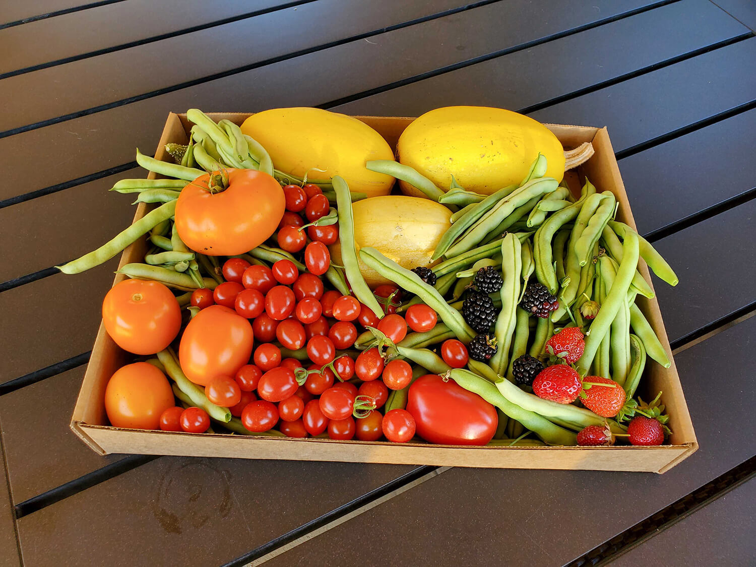 Organic Fruits - Harvest to home