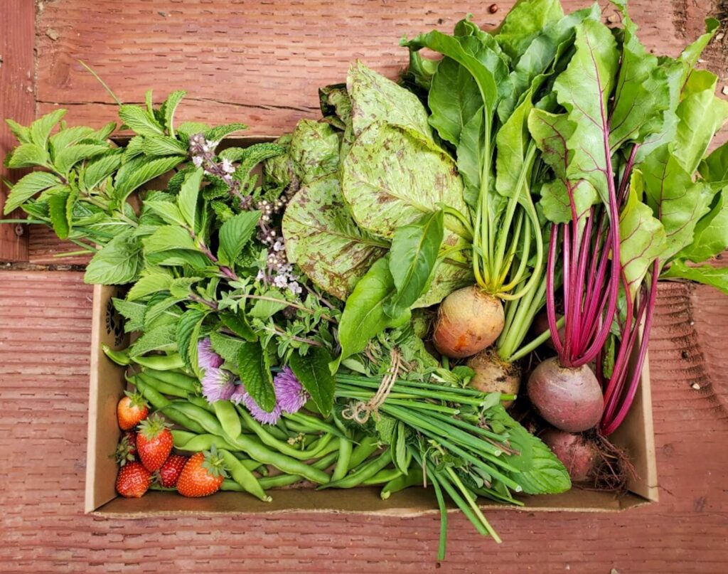 Custom Organic Vegetables