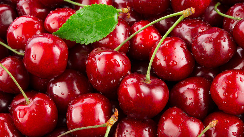 Cherries - Harvest to home