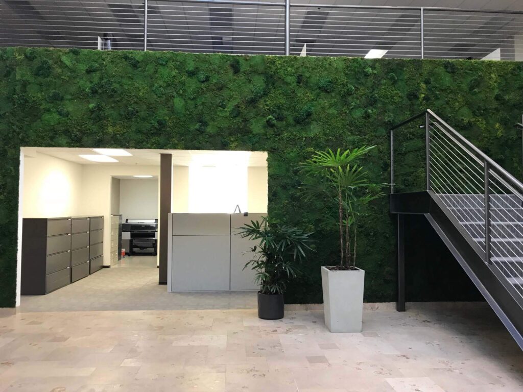 Commercial and Office Moss Walls