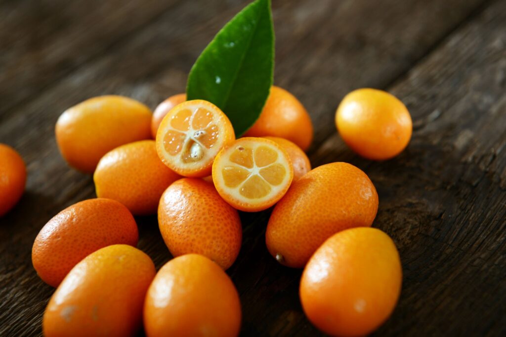 Kumquat - Harvest to home