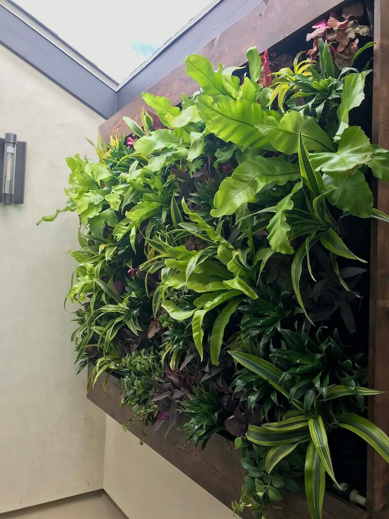 Living Plant Wall Services