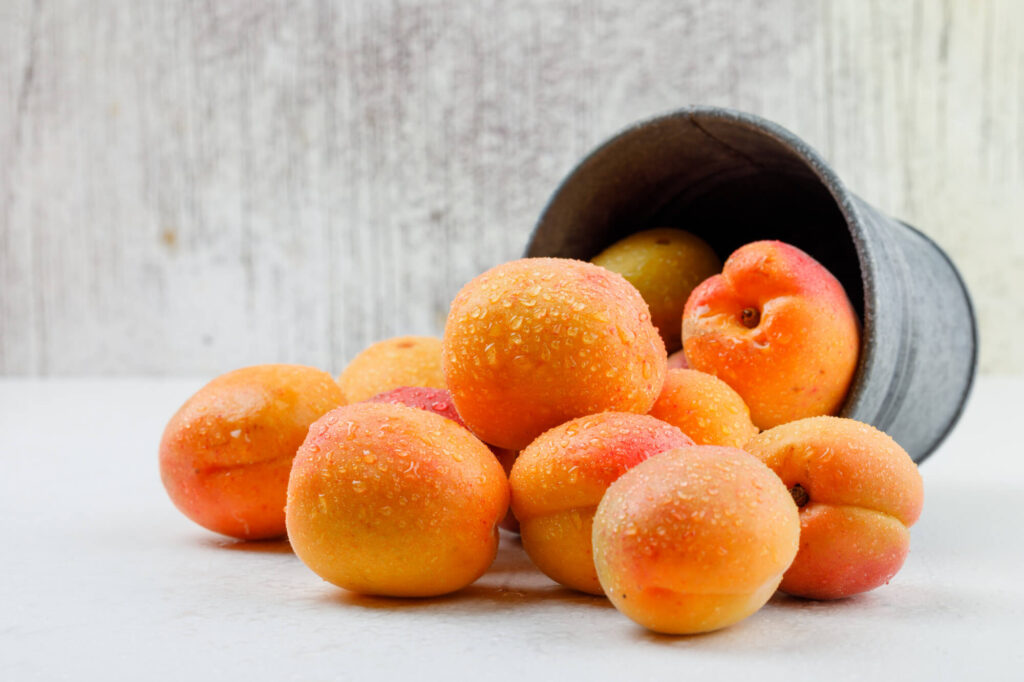 Natural Apricots Mini bucket