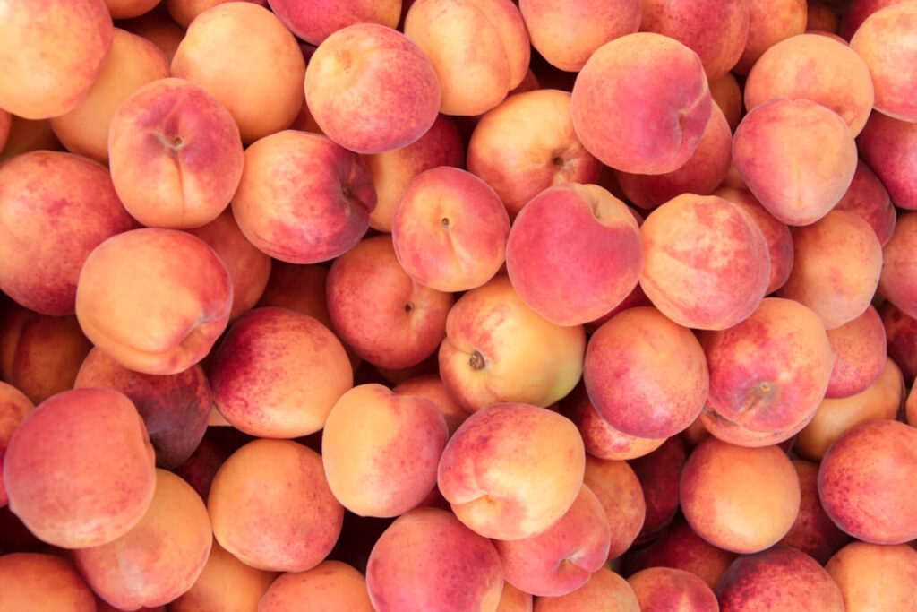 August Pride Peaches