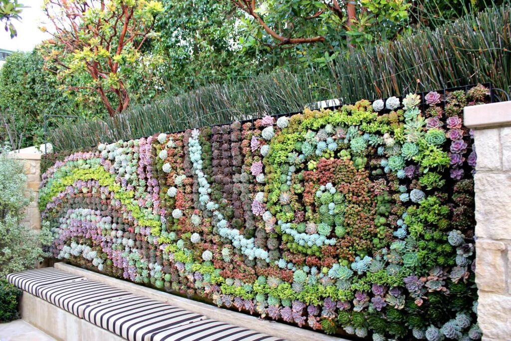 Succulent Wall Services